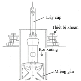 Gầu đào thông thường